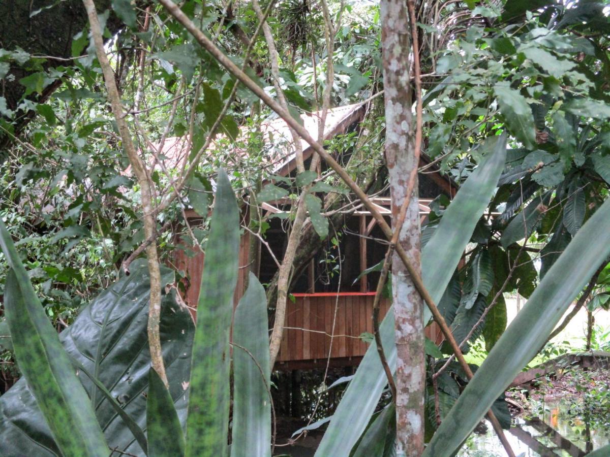 Hotel Kangaroo Rio Dulce Rio Dulce Town Exterior foto
