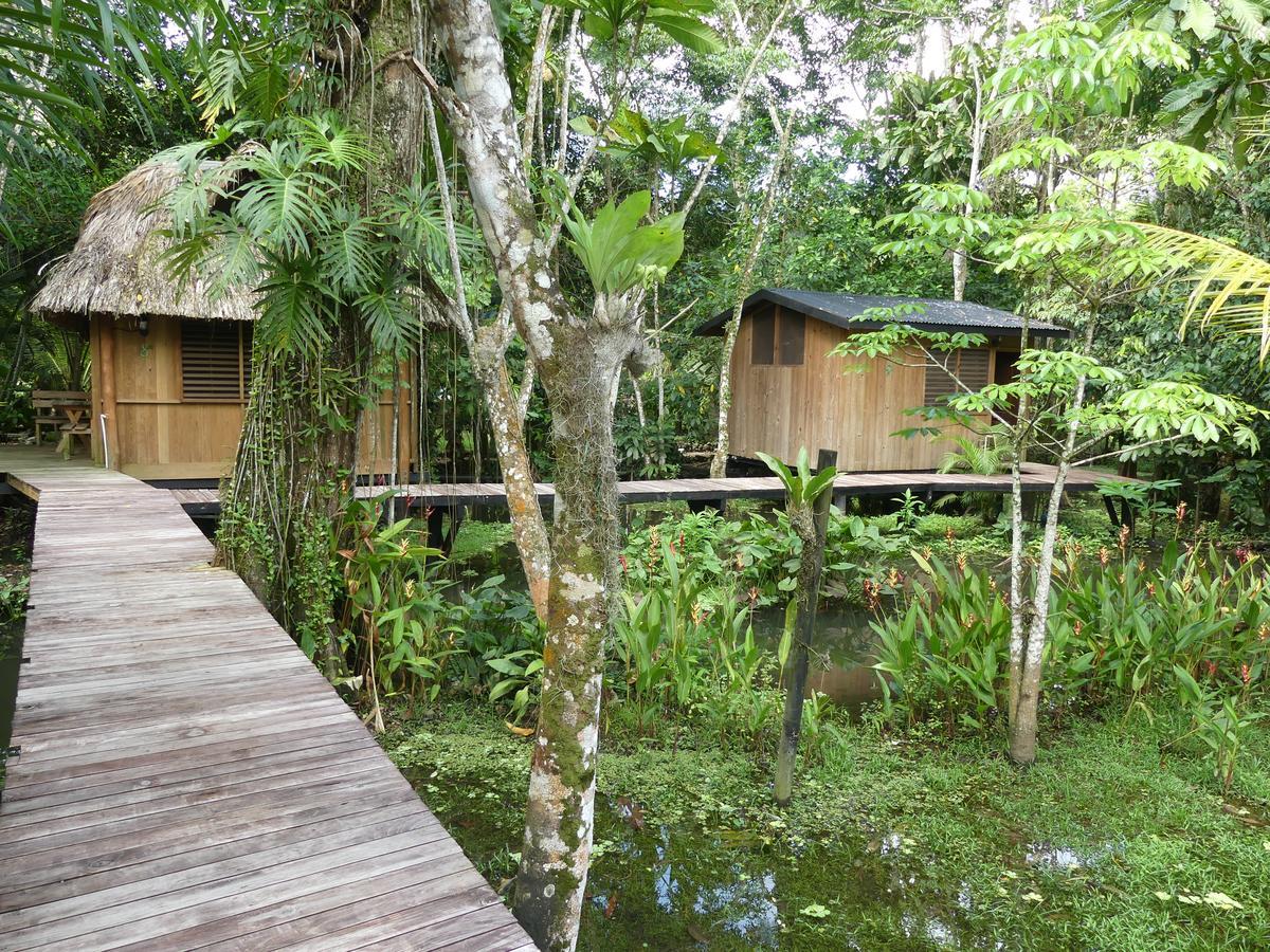 Hotel Kangaroo Rio Dulce Rio Dulce Town Exterior foto
