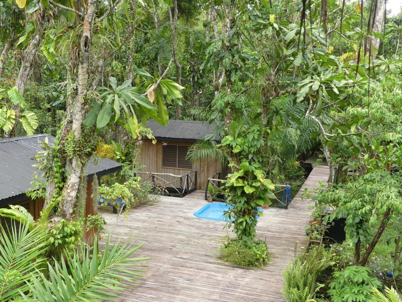 Hotel Kangaroo Rio Dulce Rio Dulce Town Exterior foto