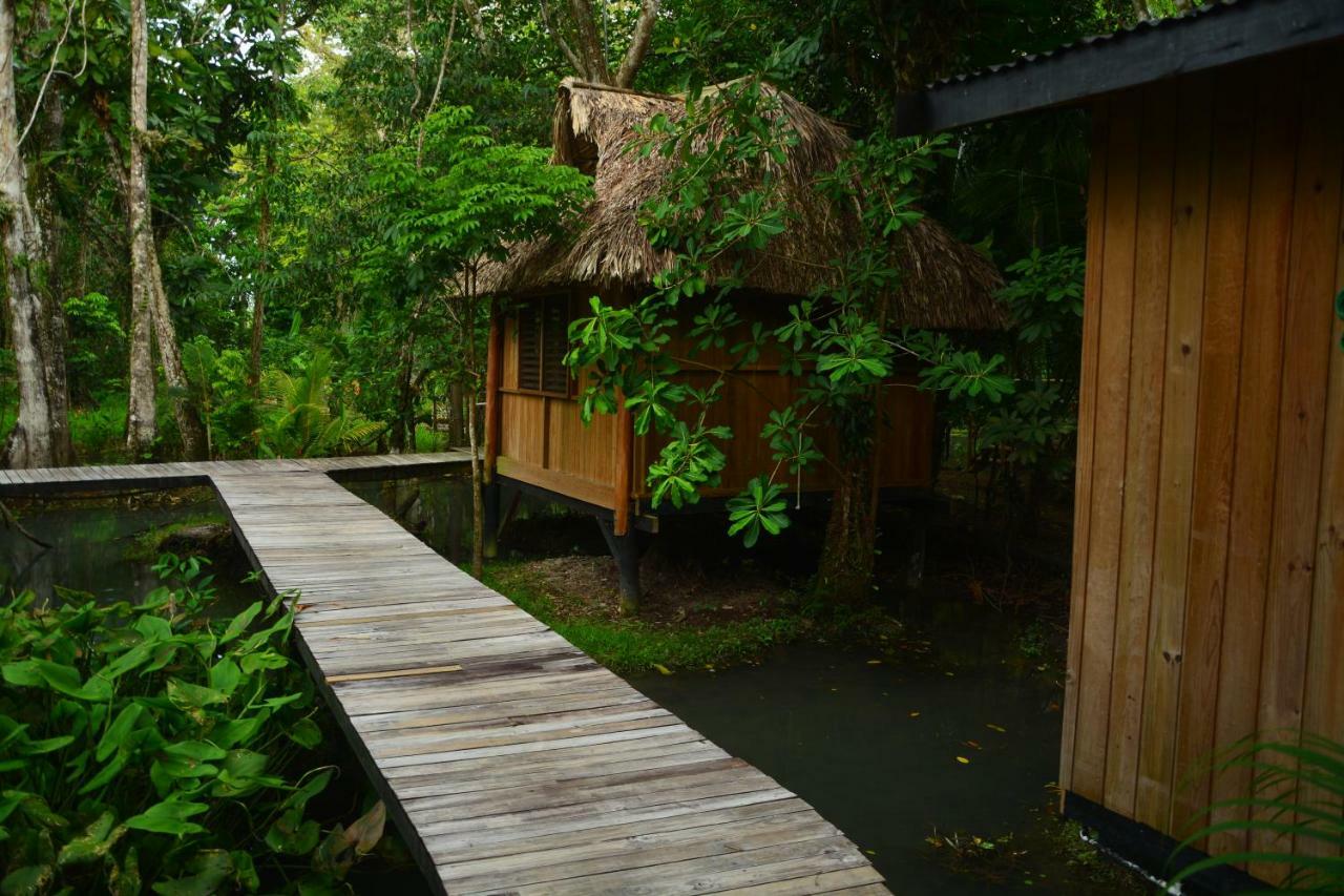 Hotel Kangaroo Rio Dulce Rio Dulce Town Exterior foto