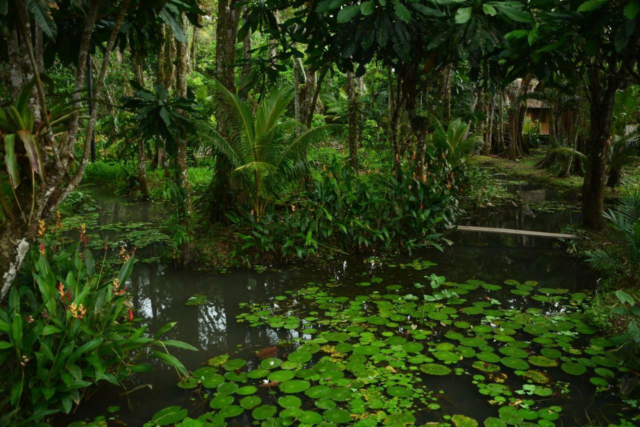Hotel Kangaroo Rio Dulce Rio Dulce Town Exterior foto