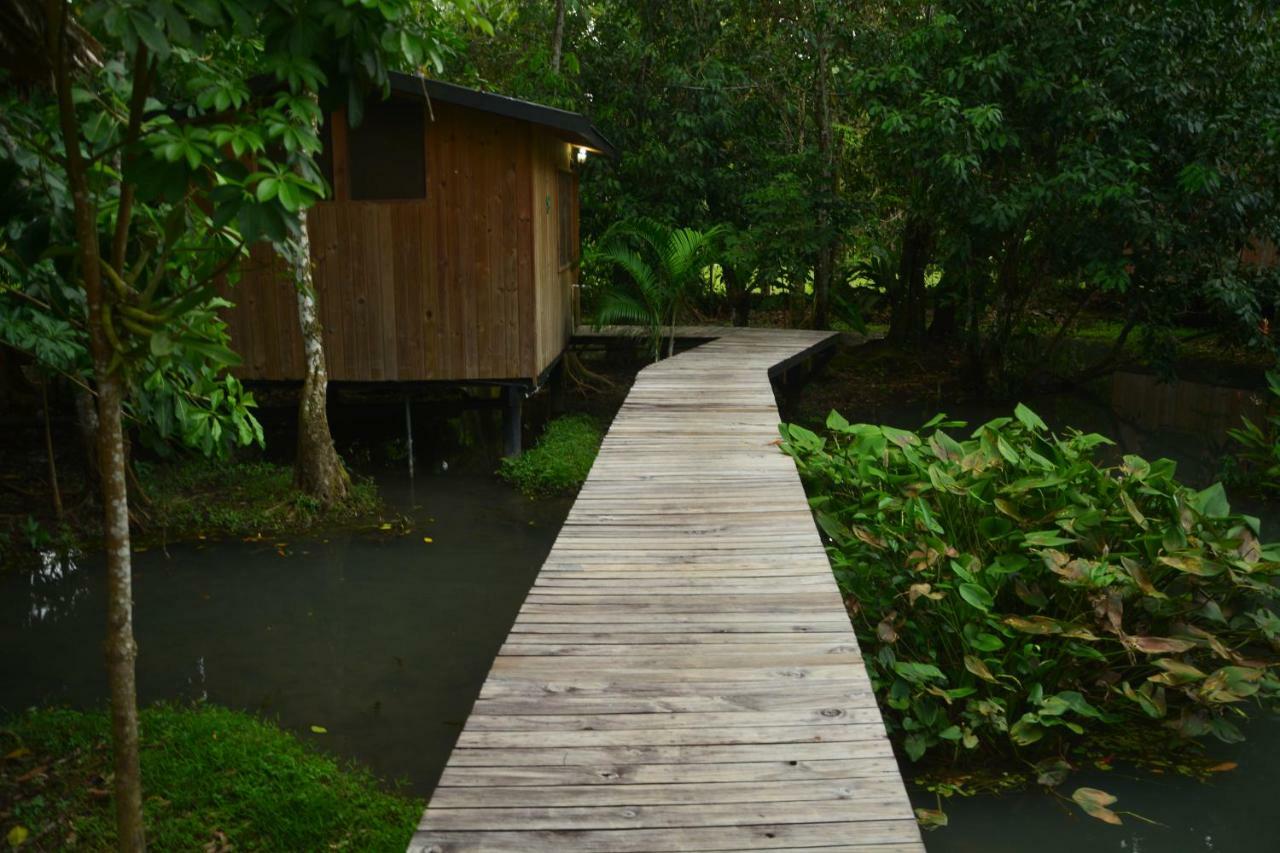 Hotel Kangaroo Rio Dulce Rio Dulce Town Exterior foto